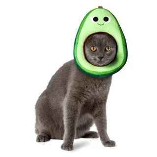 Yummy World Avocado Face Pet Headpiece Accessory