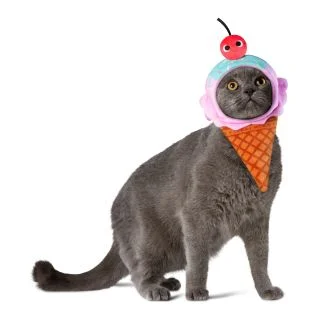 Yummy World Ice Cream Waffle Cone Pet Headpiece Accessory