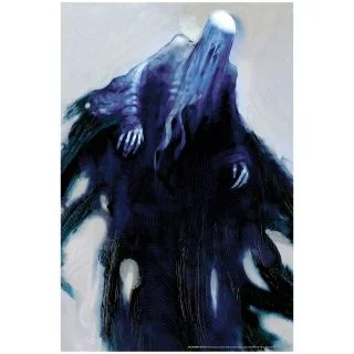 Harry Potter Death Eater Window Cover