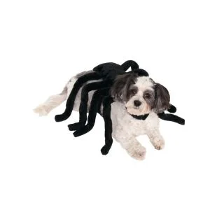 Pet Spider Harness Costume