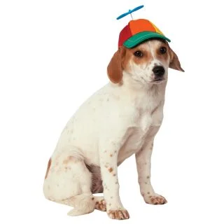 Propeller Hat for Pets