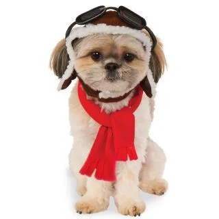 Aviator Hat/ Scarf Set Pet