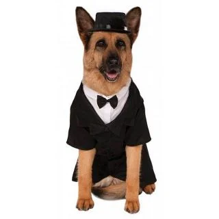 Dapper Dog - Big Dogs Pet Costume