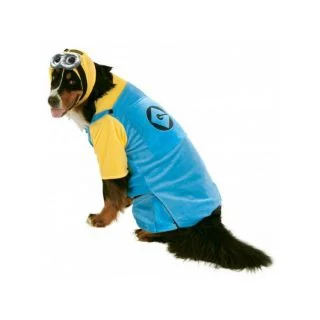 Big Dogs Minion Costume Pet