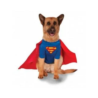 Superman - Big Dogs Pet Costume