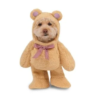 Pet Walking Teddy Bear Costume