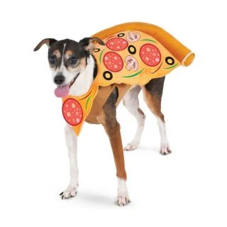 Pet Pizza Slice Costume