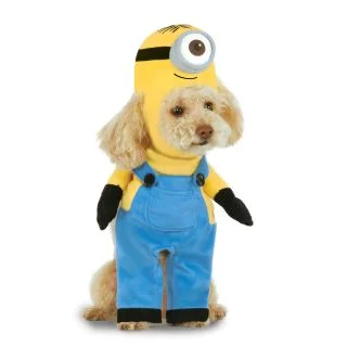 Minion Stuart Arms Pet Co Costume Pet