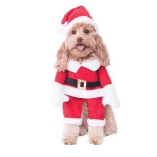 Pet Walking Santa Costume