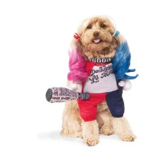 Pet Suicide Squad Harley Quinn Costume