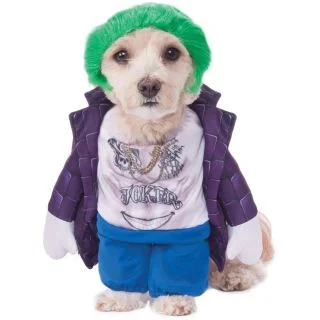 Pet Suicide Squad The Joker Costume