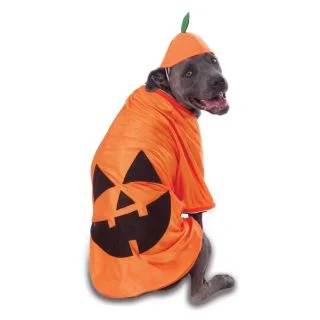 Big Dog Pumpkin Pet Costume
