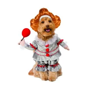 Pet It's Walking Pennywise Costume