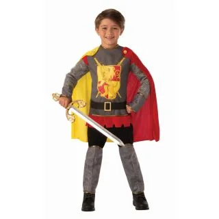 Royal Knight Boys Costume
