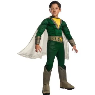 Boys Shazam Pedro Deluxe Costume (Small)