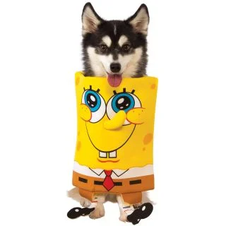 Spongebob Pet Costume