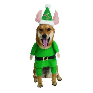 Santa's Helper Pet Costume