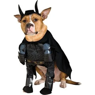 Pet Batman Costume - Batman Dark Knight