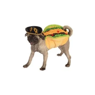 Pet Taco Costume
