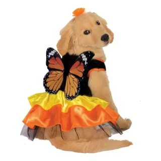 Pet Monarch Butterfly Costume