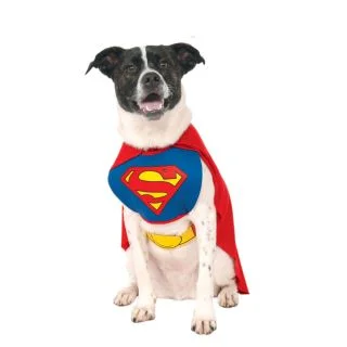 DC Pet Superman Costume