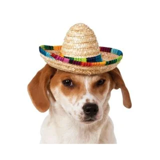 Sombrero Multi-color Hat