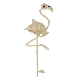 3 Foot Flamingo Skeleton
