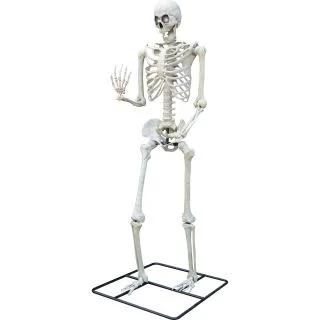 10 Ft. Standing Titan Light Up Skeleton