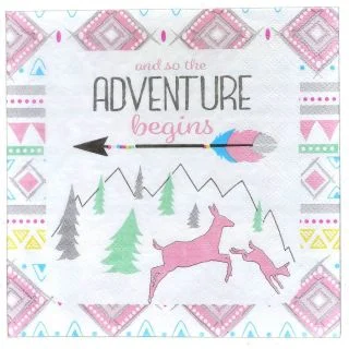 Tribal Girl Luncheon Napkins (16)
